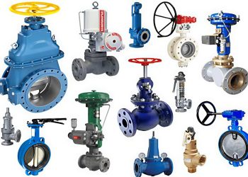 WhatsApp Image 2025-07-31 at 2.45.22 PM