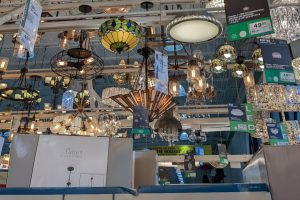 WhatsApp Image 2025-07-31 at 2.45.30 PM